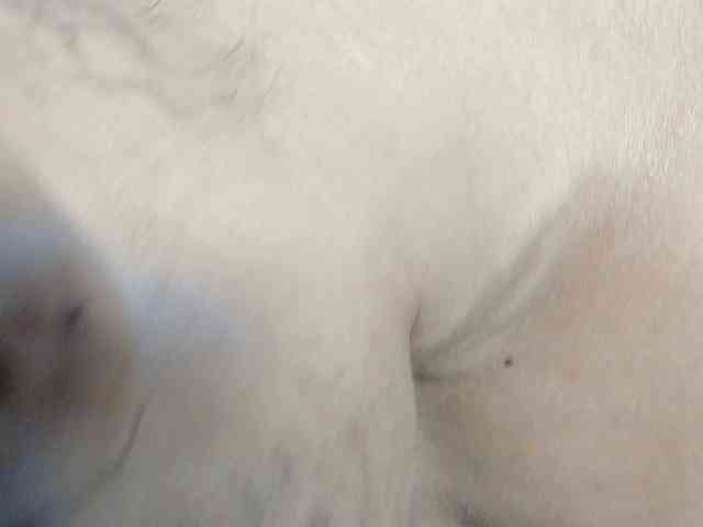 Yiauana webcam