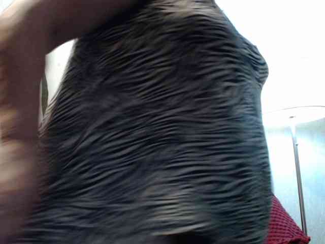 PeggySoft webcam