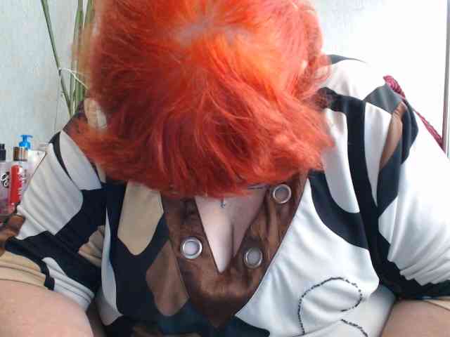 PeggySoft webcam