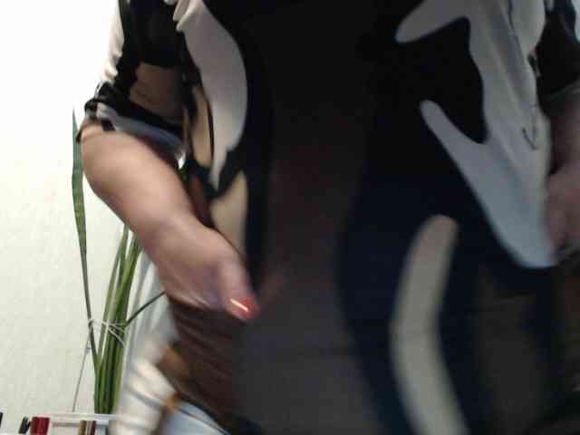PeggySoft webcam