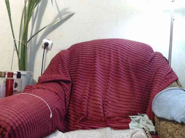 PeggySoft webcam