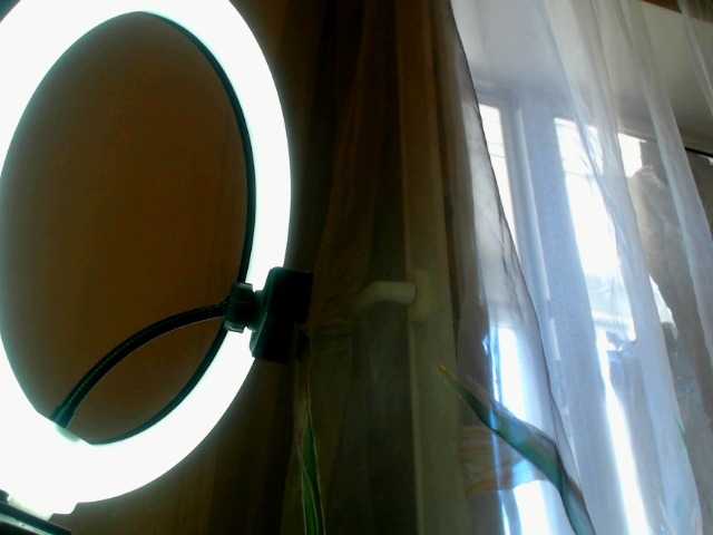 Tanya6547