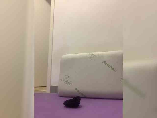Marakuya16 webcam