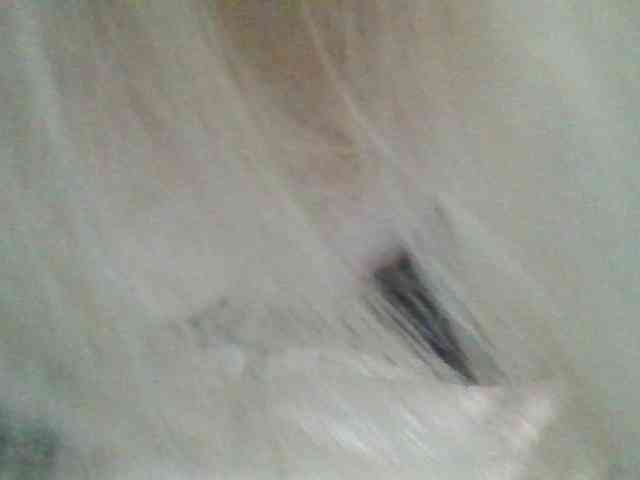 Anna6991 webcam