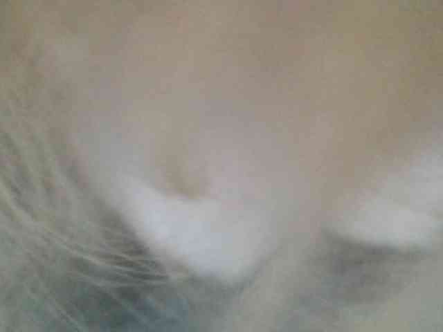 Anna6991 webcam
