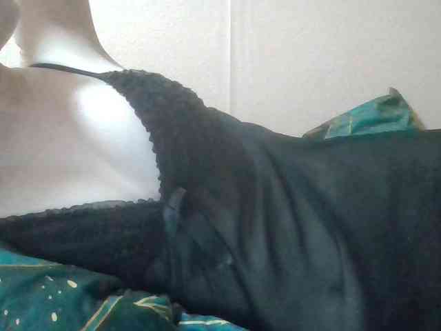 Anna6991 webcam