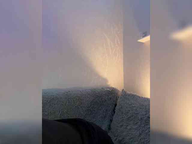 ShyAlya webcam