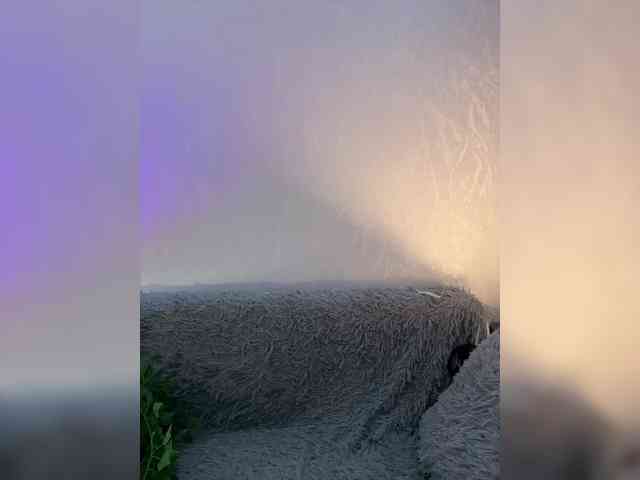 ShyAlya webcam