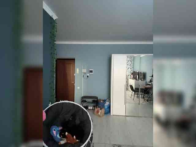 ShyAlya webcam