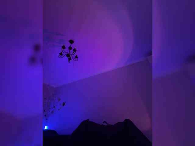 ShyAlya webcam