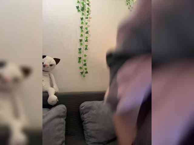 ShyAlya webcam