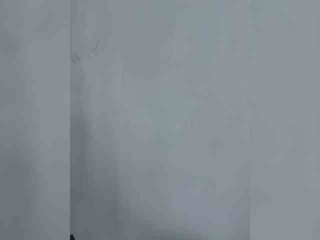 ShyAlya webcam