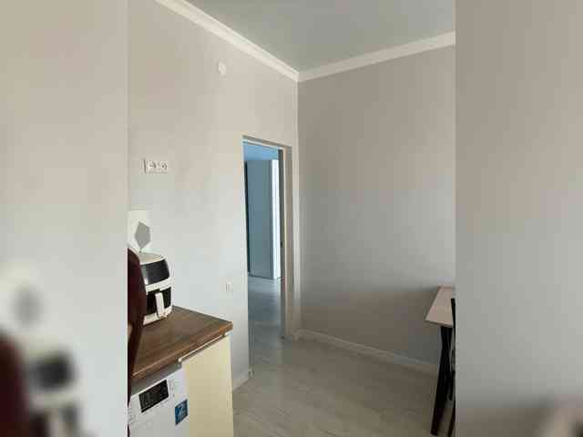 ShyAlya webcam