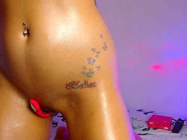 Mehott29 webcam