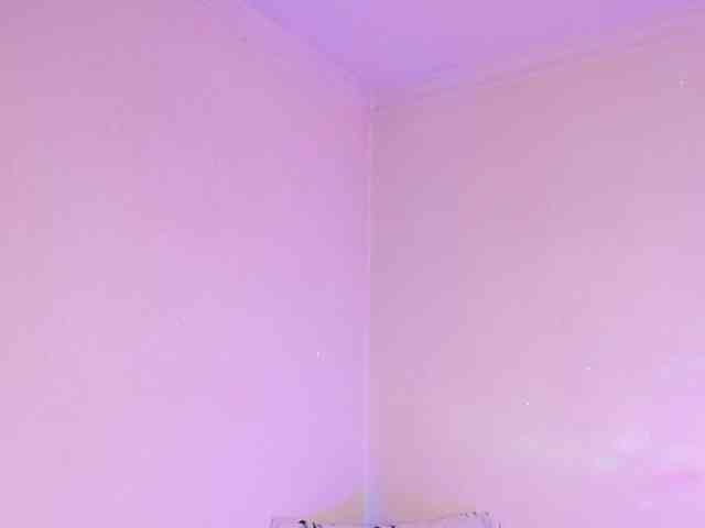 Mehott29 webcam