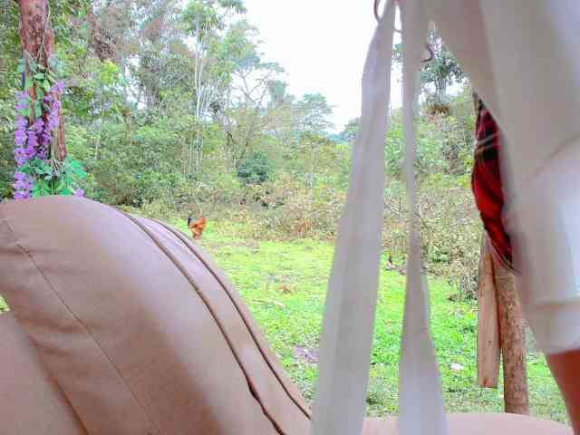 marajulie