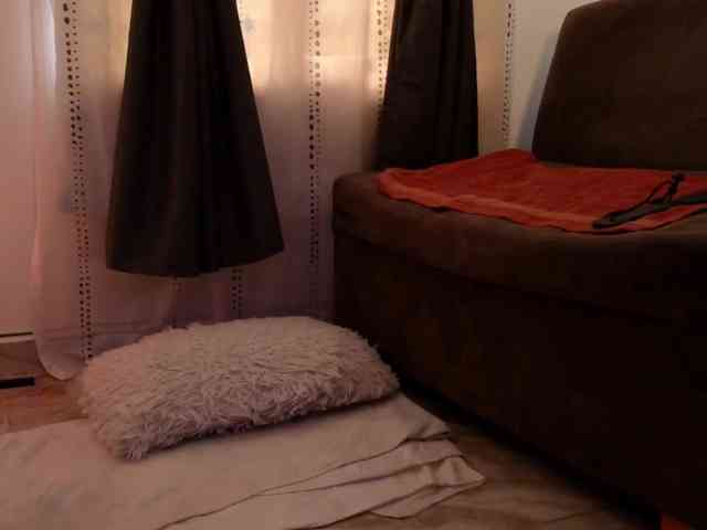 sexxyladyy webcam