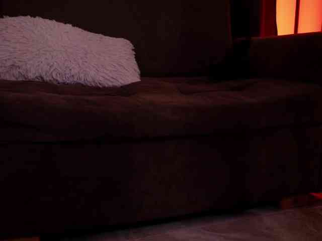 sexxyladyy webcam