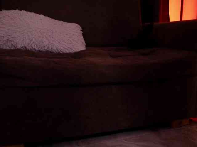 sexxyladyy webcam