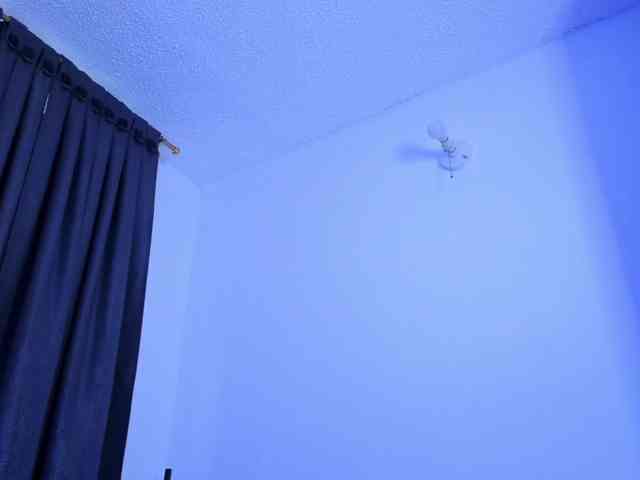 sexxyladyy webcam