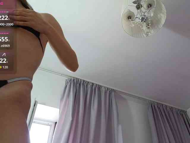Miamiki webcam