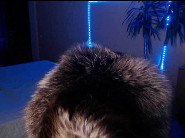 Viorica live cam preview