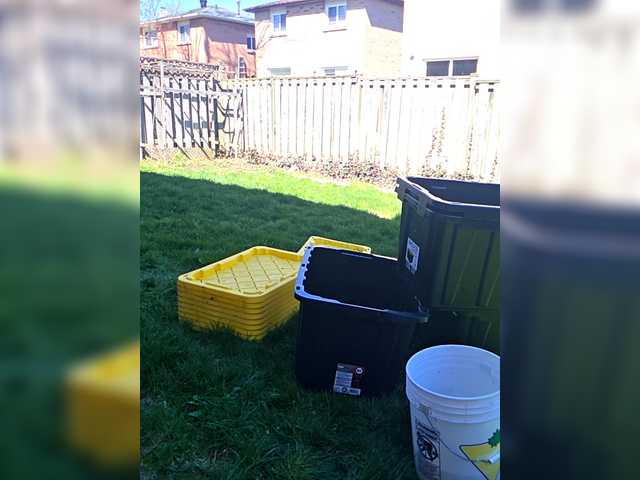 BaditaLuna's BongaCams show and profile