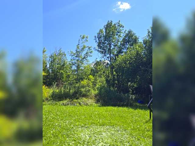 BaditaLuna live webcam show