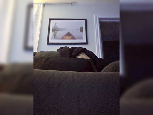 BaditaLuna's BongaCams show and profile