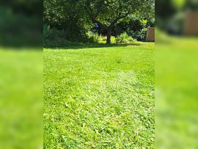 BaditaLuna live cam on BongaCams