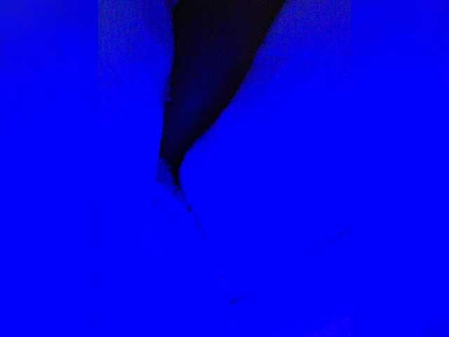 BaditaLuna live cam on BongaCams