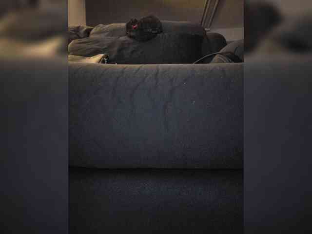 BaditaLuna webcam