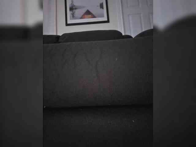 BaditaLuna webcam