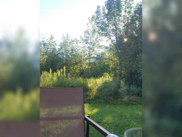 BaditaLuna webcam