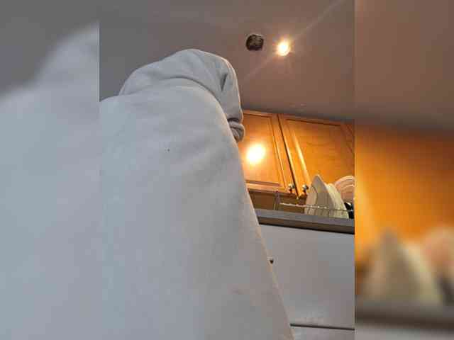 BaditaLuna webcam