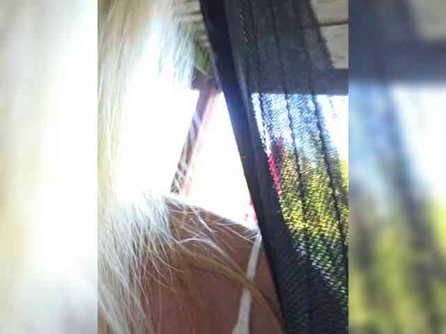 BaditaLuna webcam