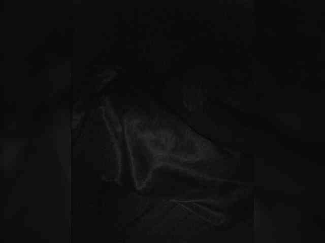 BaditaLuna webcam