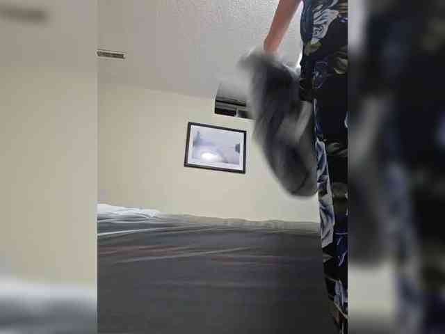 BaditaLuna webcam