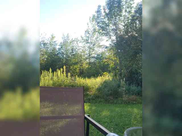 BaditaLuna webcam