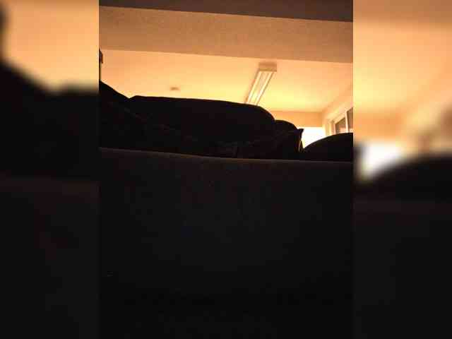 BaditaLuna webcam