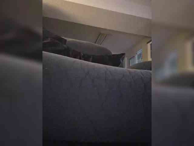 BaditaLuna webcam