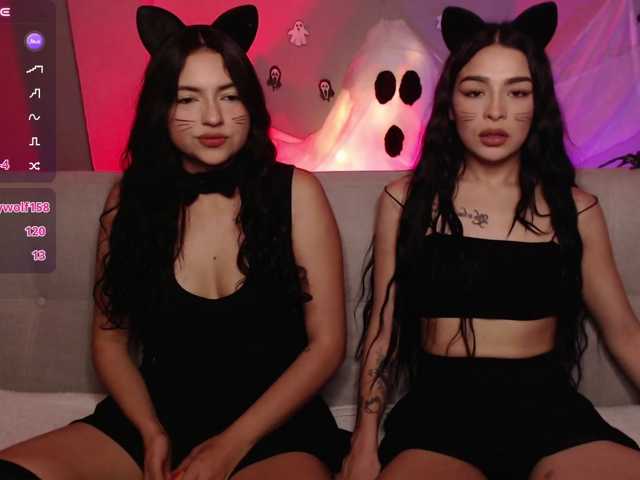 Majo-melisa