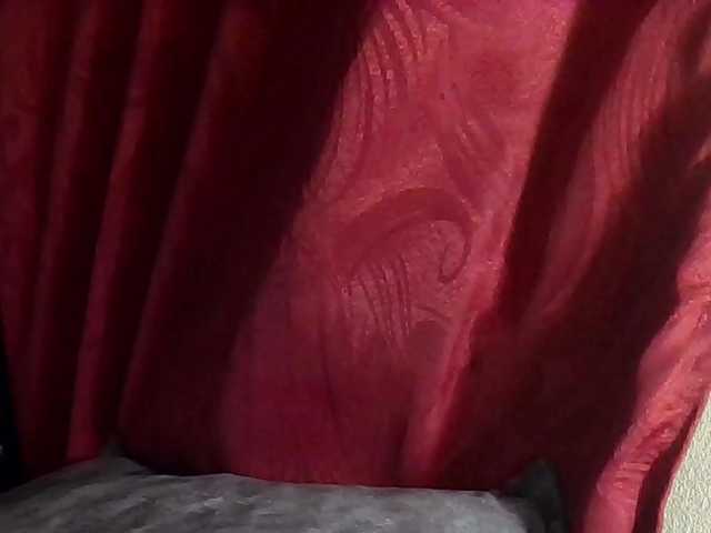 StarEli live cam preview