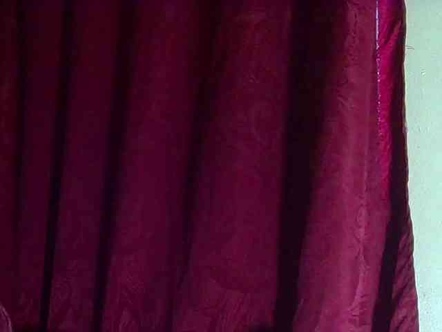 StarEli