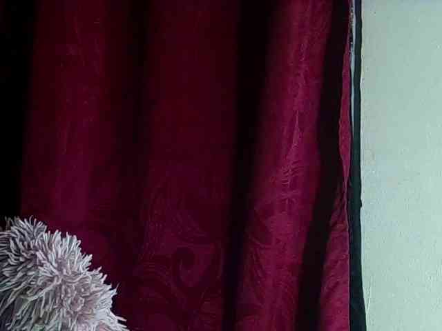StarEli webcam