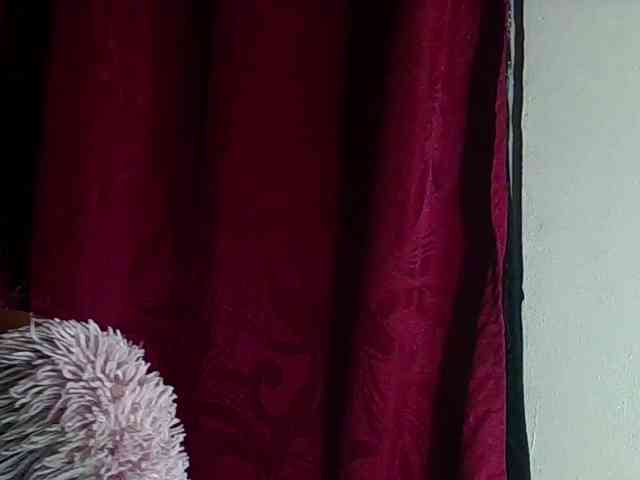 StarEli webcam
