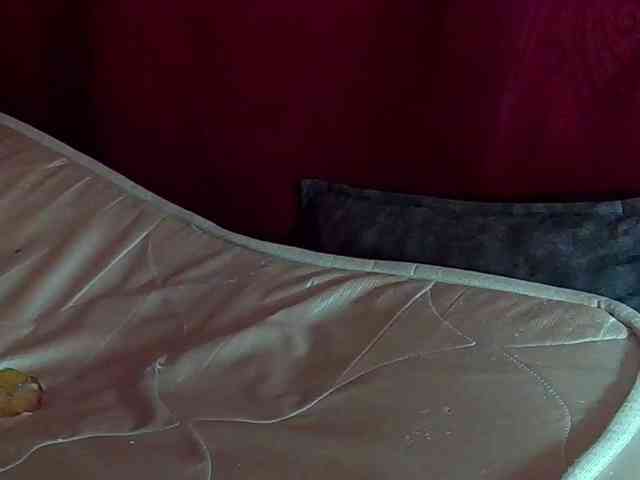 StarEli webcam