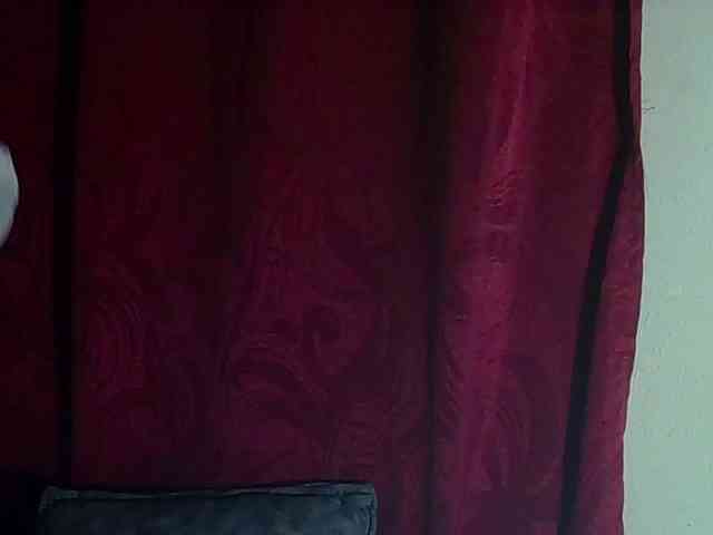 StarEli webcam