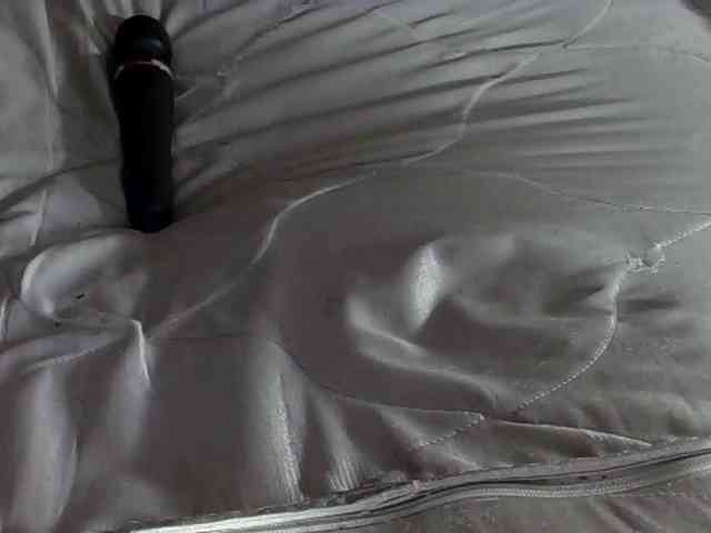 StarEli webcam