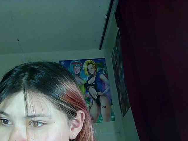 StarEli webcam